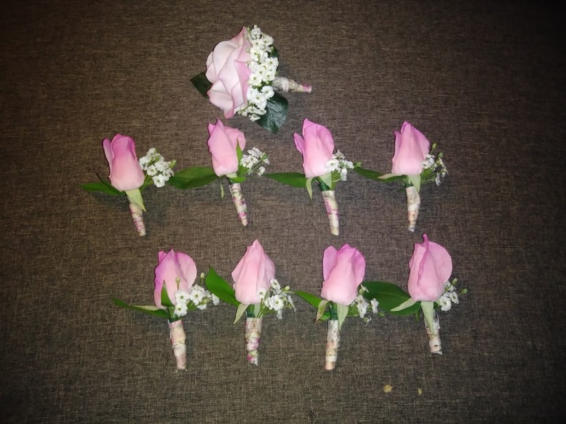 Catherine Collection